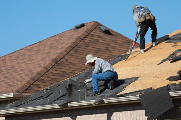 Best Roof Ventilation Installation  in Pion Hills, CA